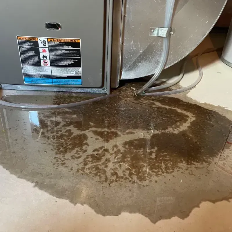 Appliance Leak Cleanup in Nowthen, MN